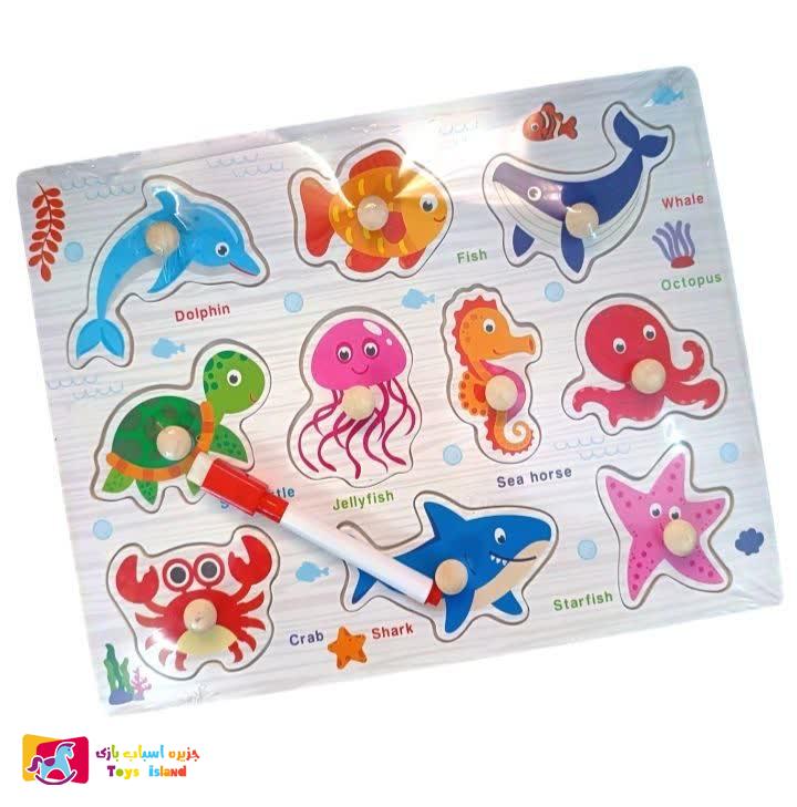 پازل طرح دار چوبی پین دار به همراه تخته وایت برد (4)