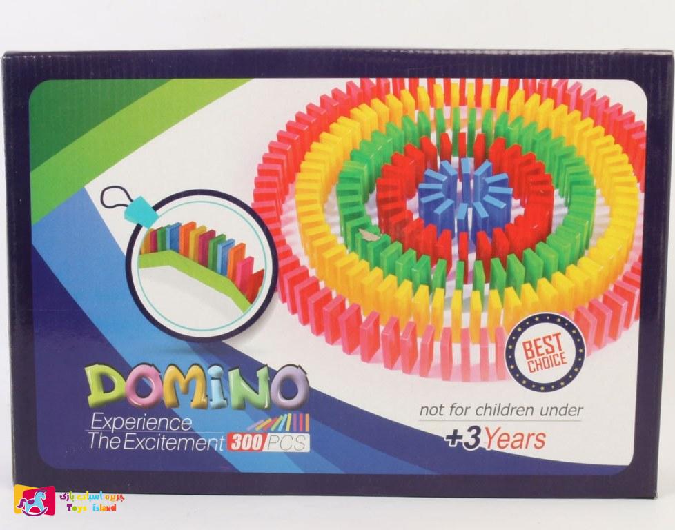 بازی فکری دومینو 300 تکه پرشین (1)